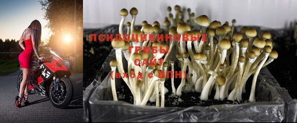 MDMA Аркадак